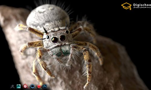 مدلسازی و رندر یک عنکبوت جهنده واقعی در Maya و Zbrush