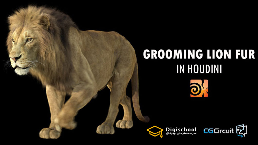 Grooming-Lion-Fur-in-Houdini-by-Sara-Hansen
