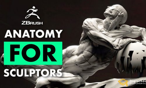 مبانی آناتومی برای مجسمه سازان | Flippednormals