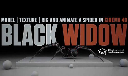 مدل‌سازی ، تکسچر ، ریگ و انیمیت یک عنکبوت در Cinema 4D